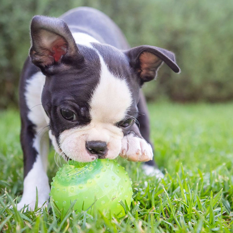 Takamisu Chilled & Chewy Freezable Toy Ball