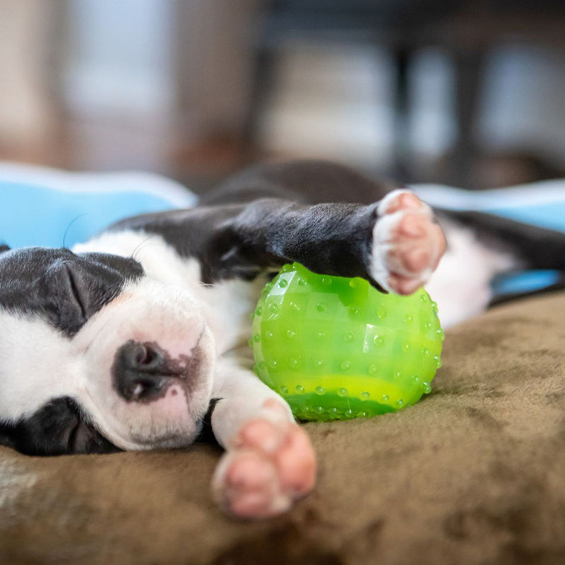 Takamisu Chilled & Chewy Freezable Toy Ball