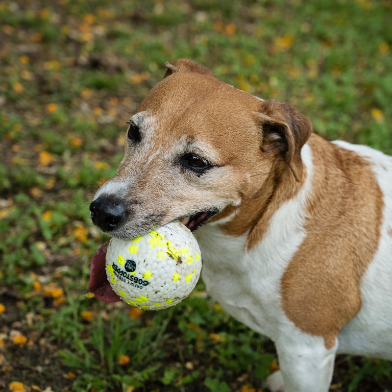 Takamisu eTPU Chewy Doggie Gobstopper