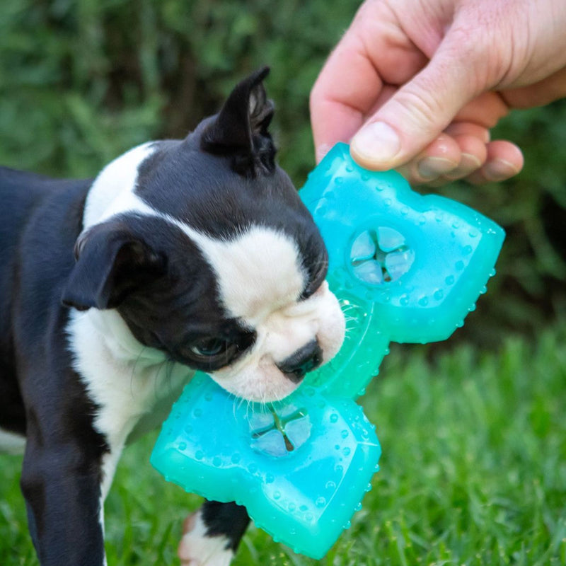 Takamisu Chilled & Chewy Freezable Toy Bone