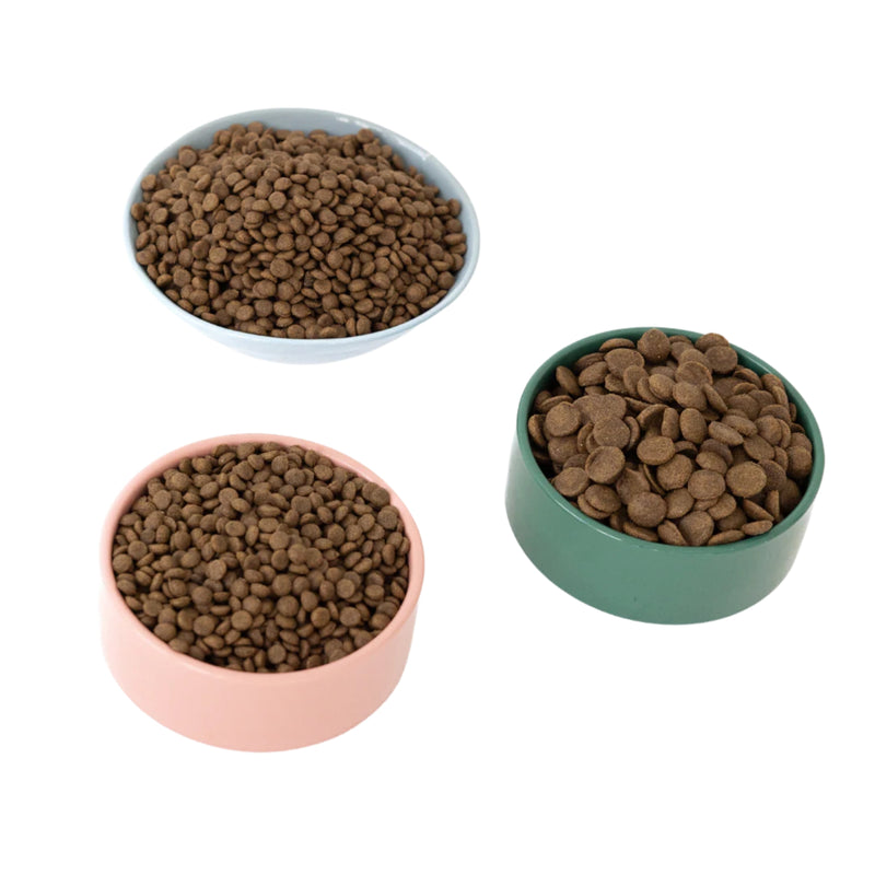 Aiko Adult Dry Dog Food Small Breeds – Hypoallergenic Insect Protein