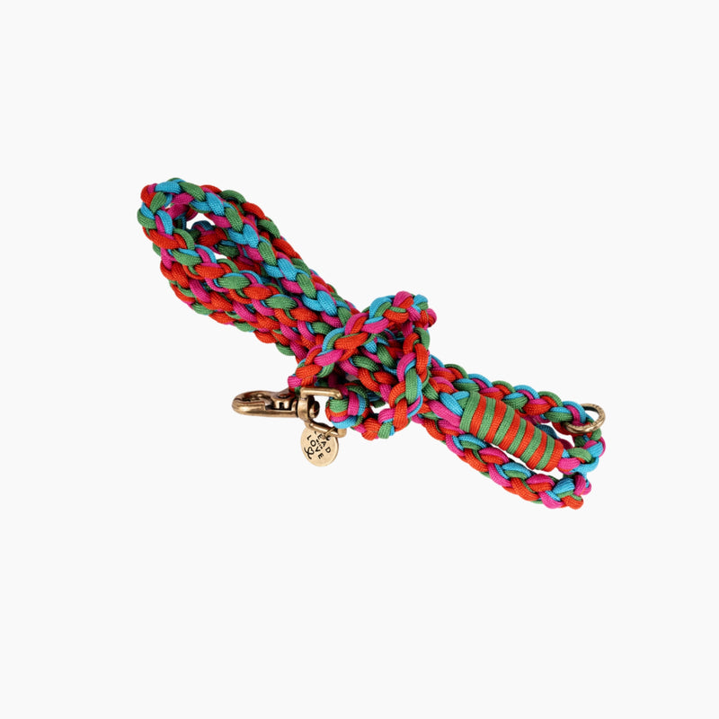 Lead with Love Dogmas Classic Dog Lead