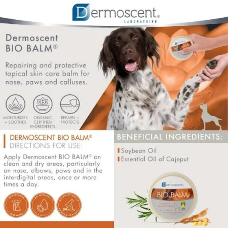 Dermoscent Bio Balm for Dogs 50ml