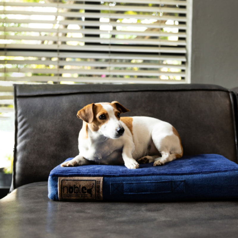 The Noble Napper Indoor Orthopaedic Dog Bed