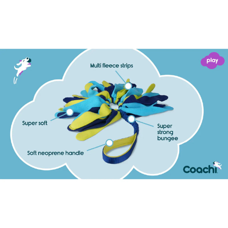 Company of Animals Coachi Tuggi Spider