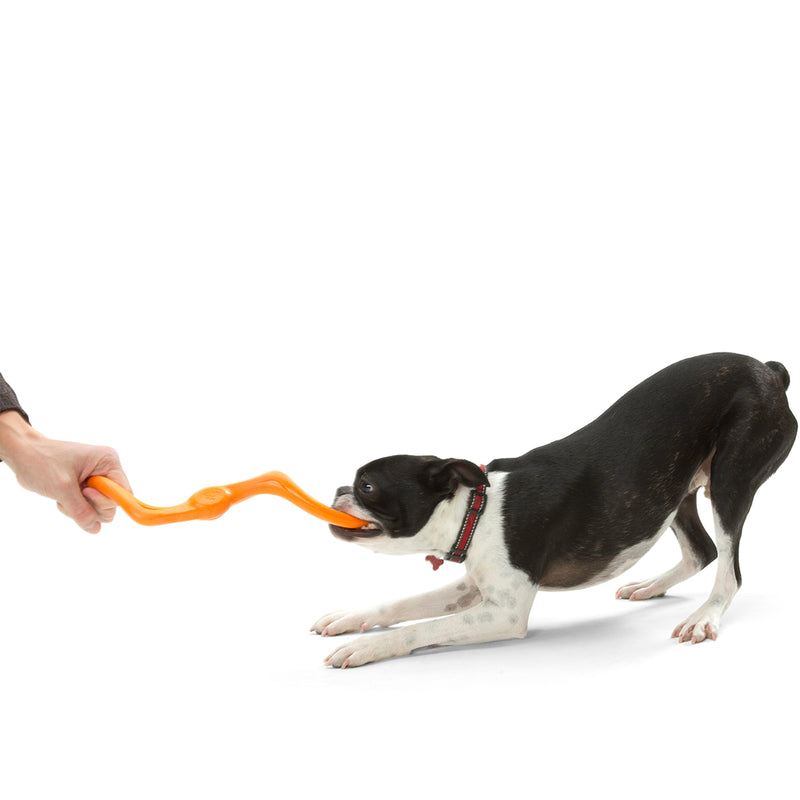 West Paw Zogoflex Bumi® – Stretchy Tug & Fetch Dog Toy