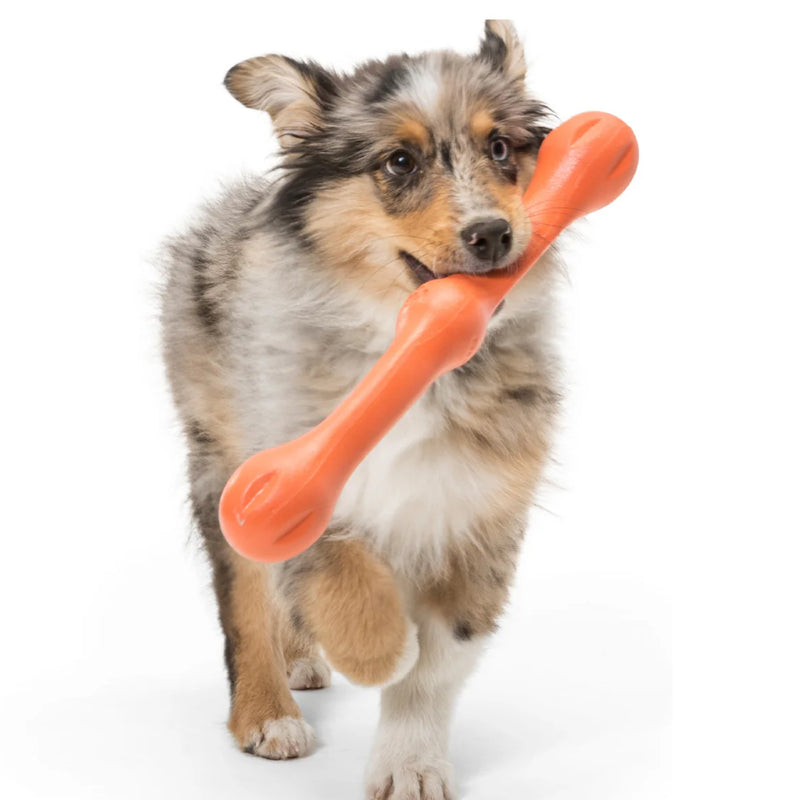 West Paw Zogoflex Zwig® - Fetch & Tug Toy for Dogs