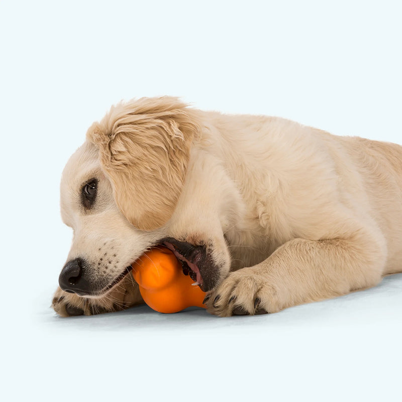 West Paw Zogoflex Tux® Ultra-Tough Treat Toy