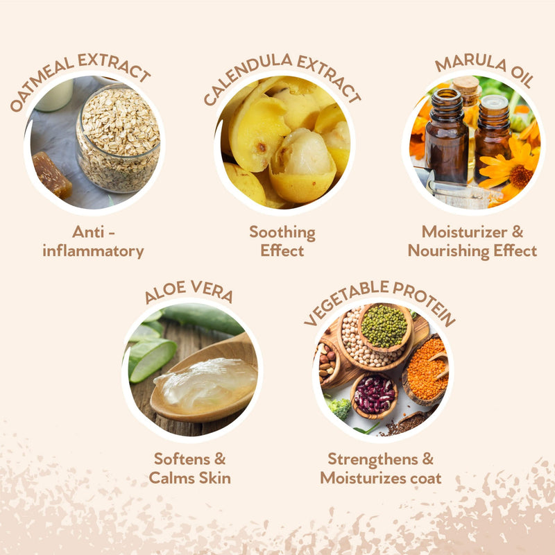 Pet Head Sensitive Soul Dog Shampoo for Sensitive Skin