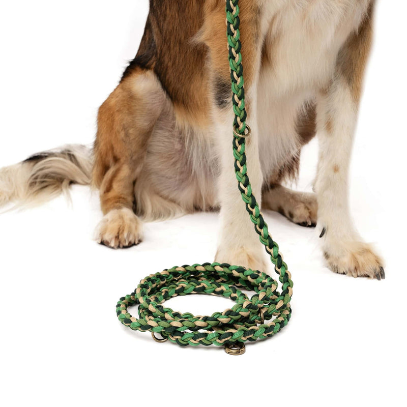 Lead with Love Dogmas Hands-Free Dog Lead