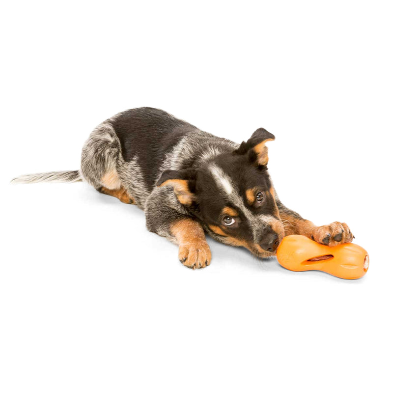 West Paw Zogoflex Qwizl® Treat-Holding Chew Toy