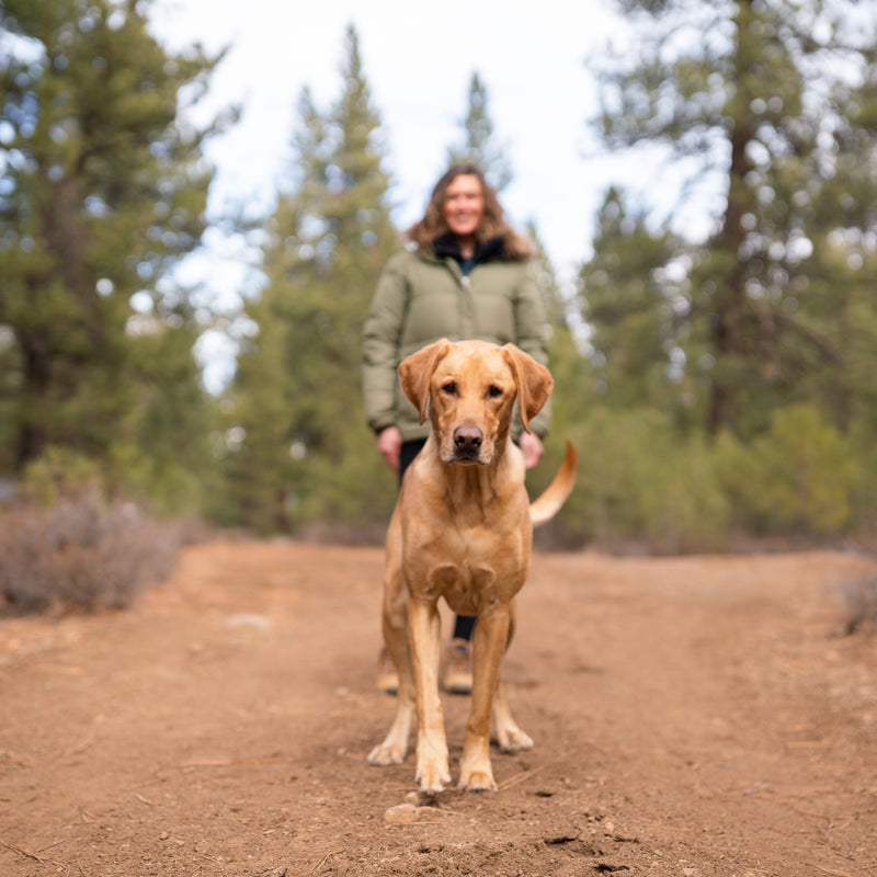 ORIJEN™ Original Dry Dog Food – Chicken, Turkey & Fish