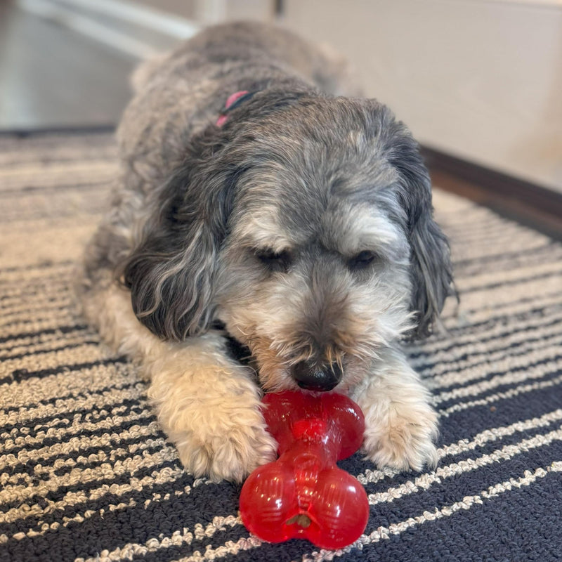 PetLove Mighty Mutts Rubber Bone