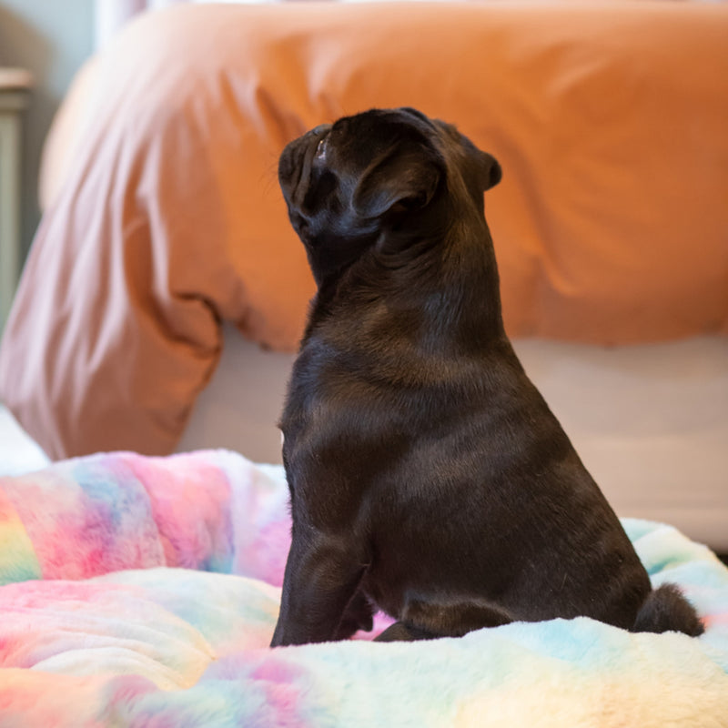 Dog's Life Calming Donut Cuddler Bolster Bed