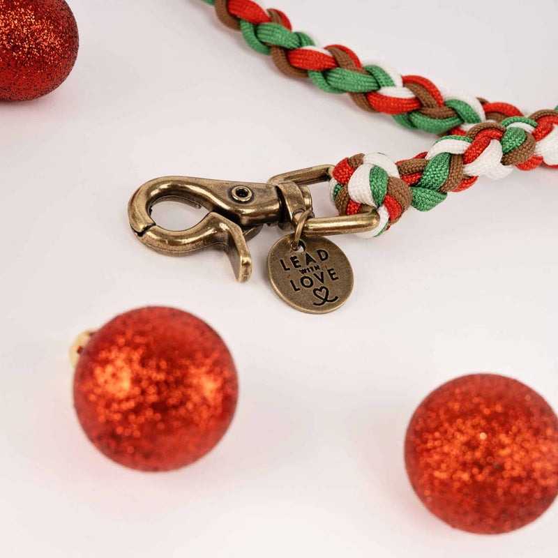 Lead with Love Dogmas Classic Dog Lead