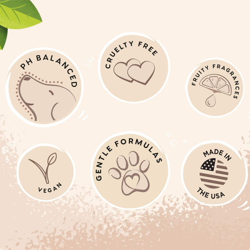 Pet Head Sensitive Soul Dog Shampoo for Sensitive Skin