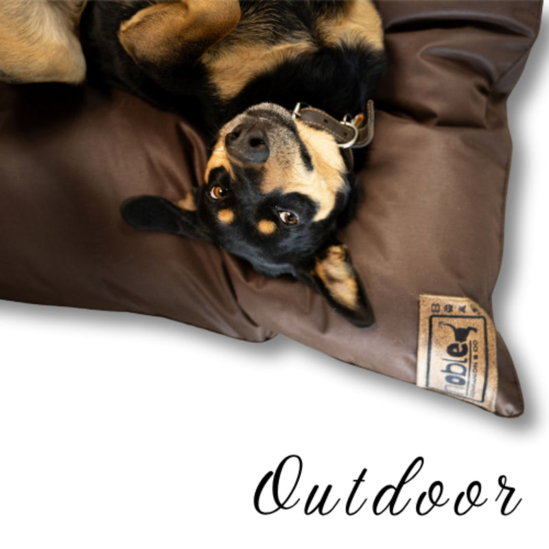 The Canine Cloud Orthopedic Outdoor Dog Bed