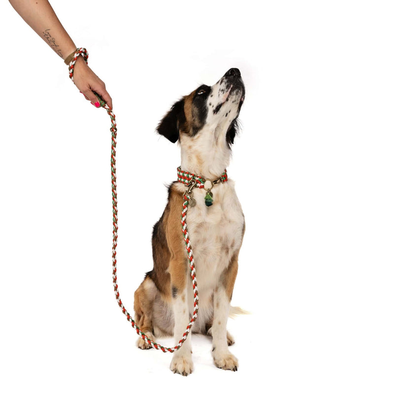 Lead with Love Dogmas Classic Dog Lead
