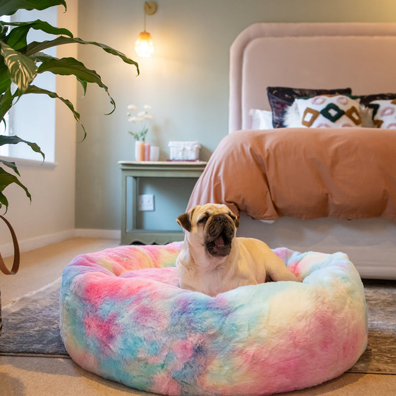 Dog's Life Calming Donut Cuddler Bolster Bed