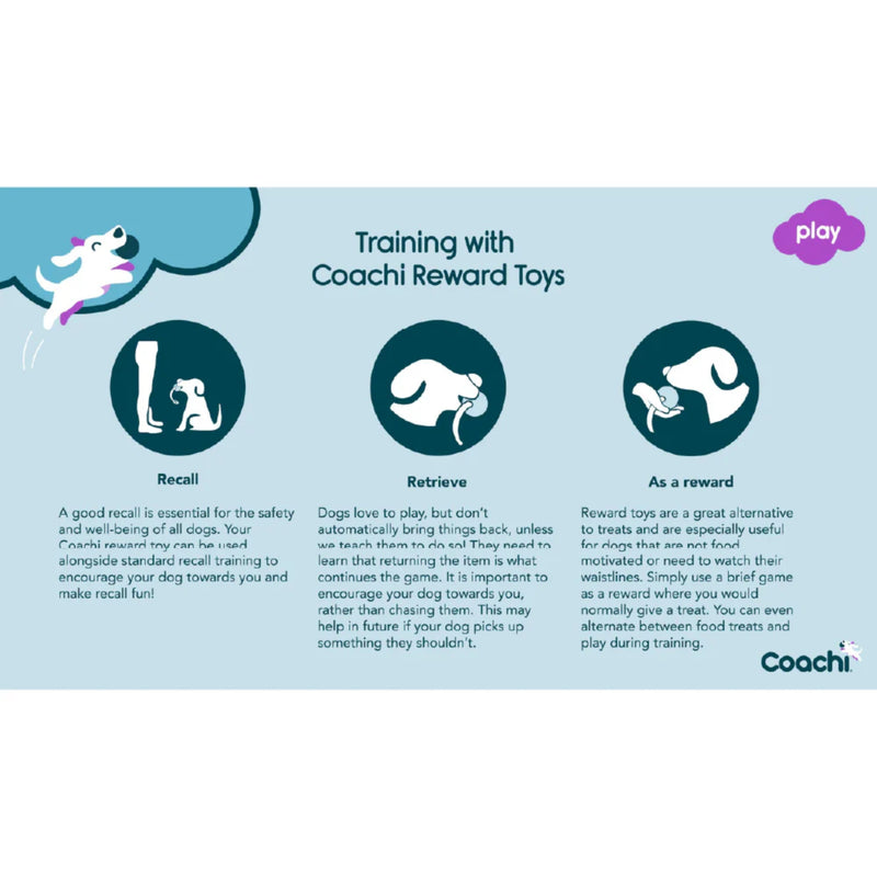 Company of Animals Coachi Tuggi Hide