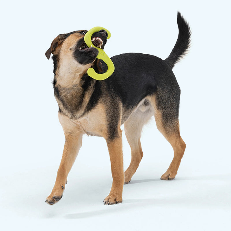 West Paw Zogoflex Bumi® – Stretchy Tug & Fetch Dog Toy