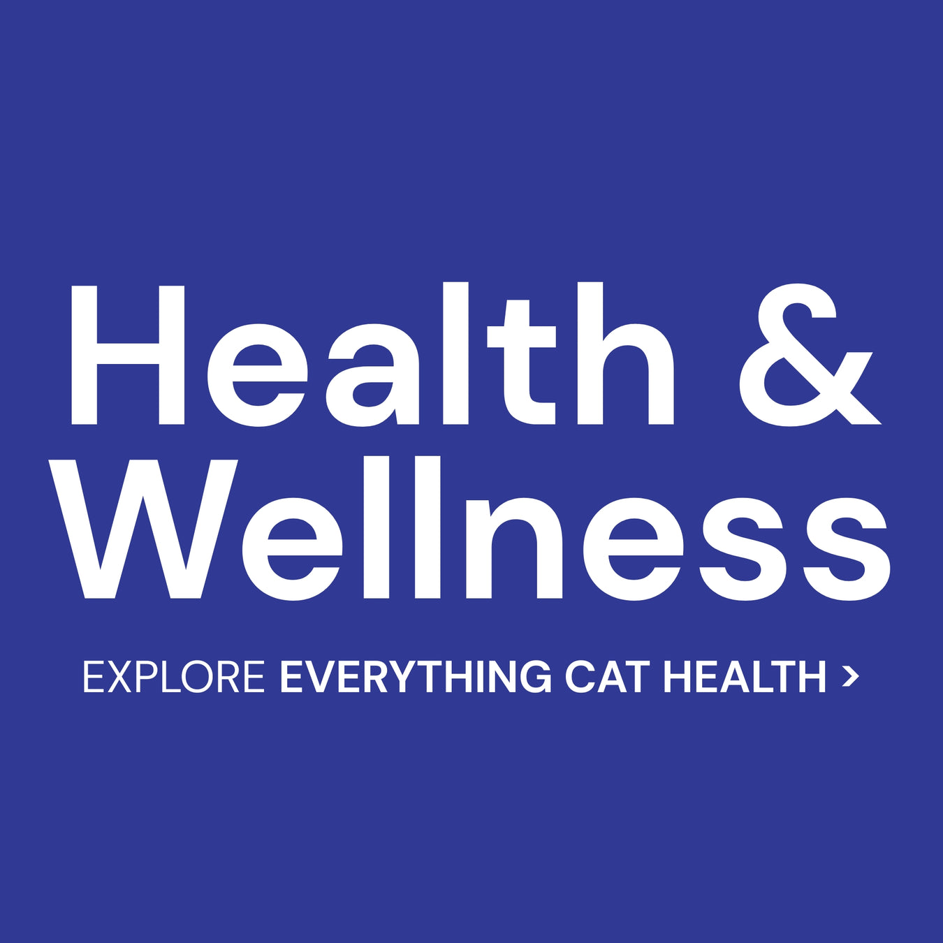 Everything Cat Health