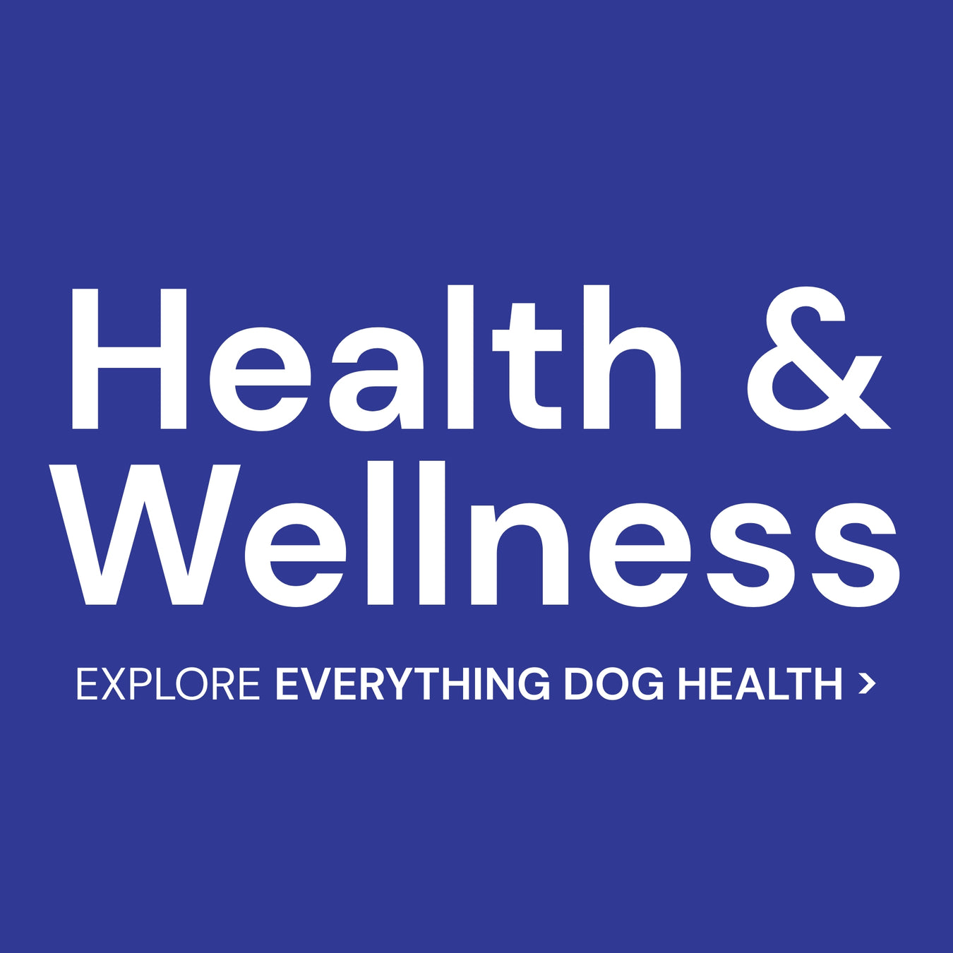 Dog Health & Wellness