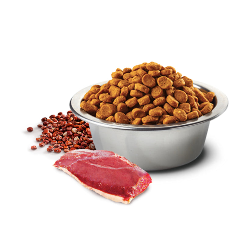 Farmina N&D Skin & Coat Duck Mini