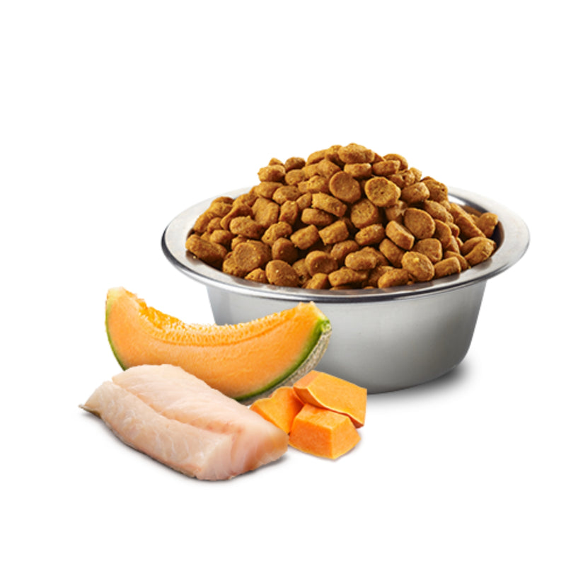 Farmina N&D Cod, Pumpkin & Cantaloupe Melon Puppy Mini