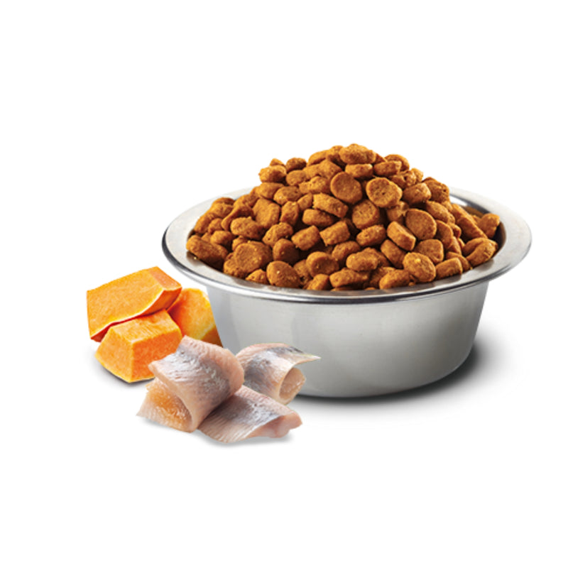 Farmina  N&D Cod, Pumpkin & Orange Adult Mini