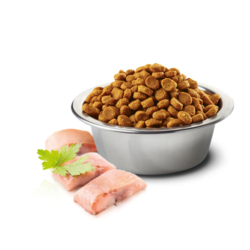 Farmina N&D Ocean Wild-Caught Herring & Orange Dry Cat Food