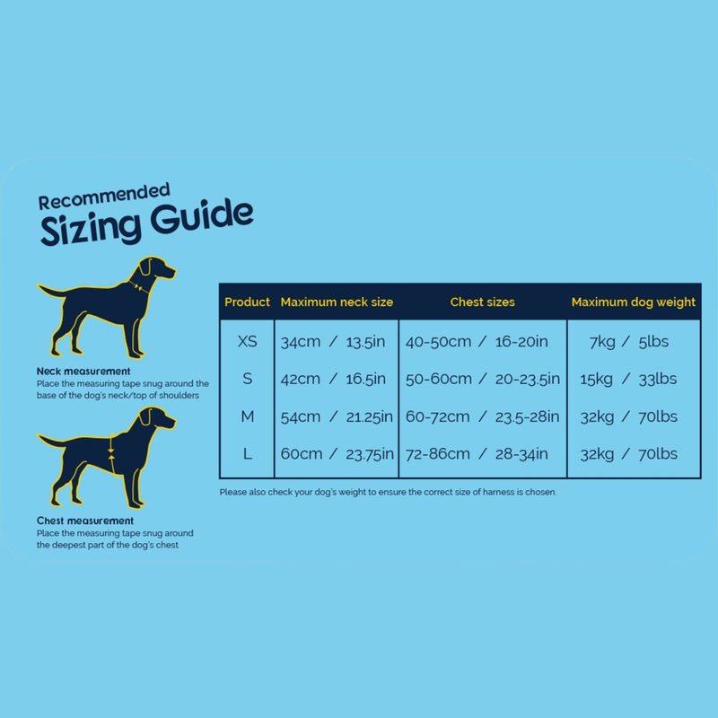 Company of Animals CarSafe Crash-Tested Dog Harness