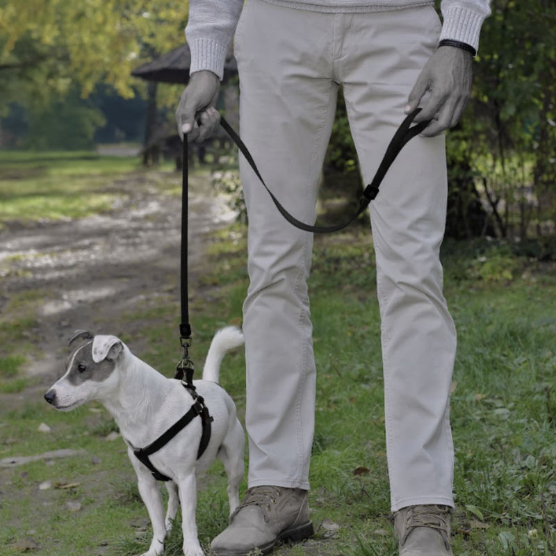 DOCO® Signature Nylon Dog Leash