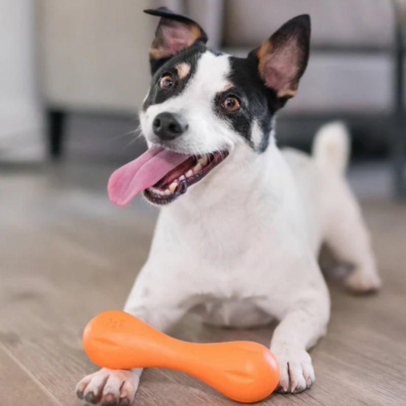 West Paw Hurley Bone Durable Dog Chew & Fetch Toy