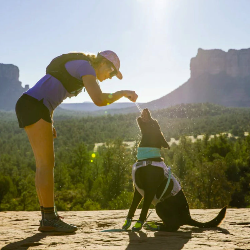 Ruffwear Swamp Cooler™ Neck Gaiter – Reversible Cooling Dog Accessory