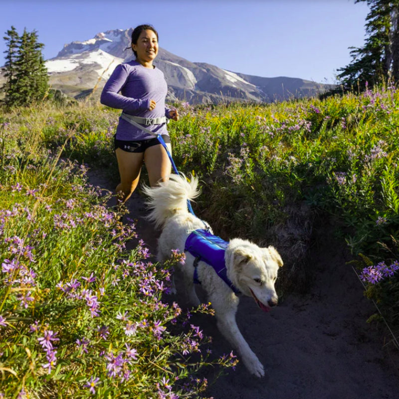 Ruffwear Trail Runner™ Running Belt – Hands-Free Dog Leash Waist Belt with Zippered Storage