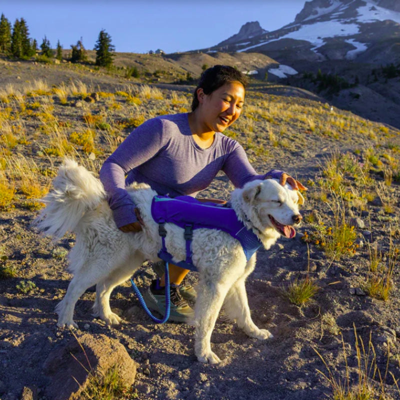 Ruffwear Trail Runner™ Dog Running Vest & Hydration Pack