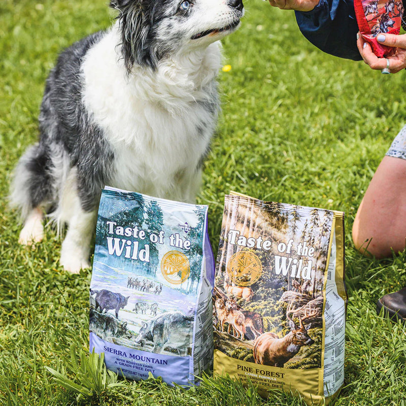 Taste of the Wild Canine Sierra Mountain All Life Stages Formula – Roasted Lamb