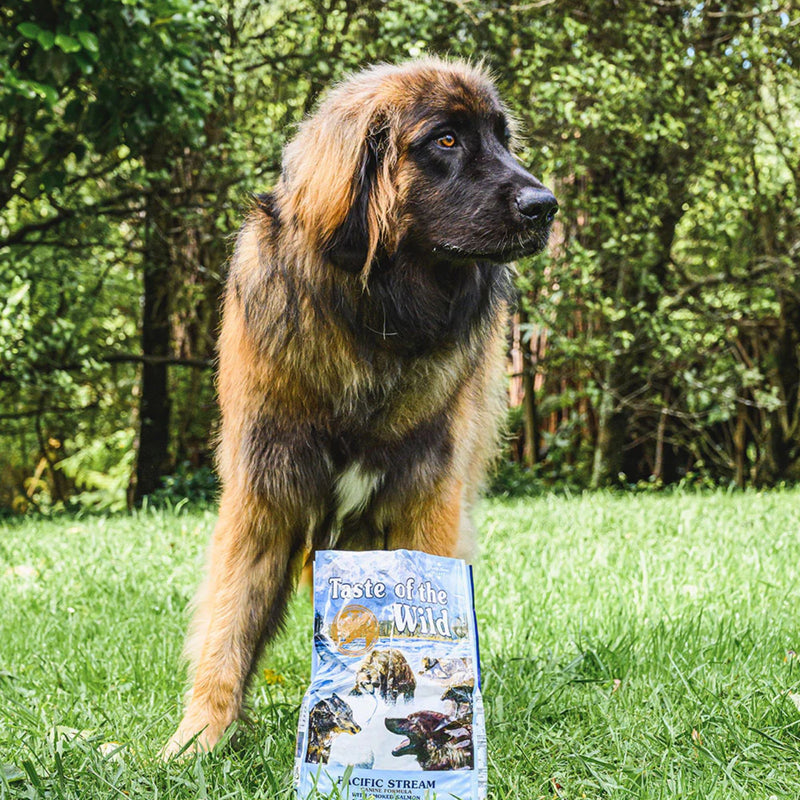 Taste of the Wild Canine Pacific Stream Adult Formula – Smoked Salmon