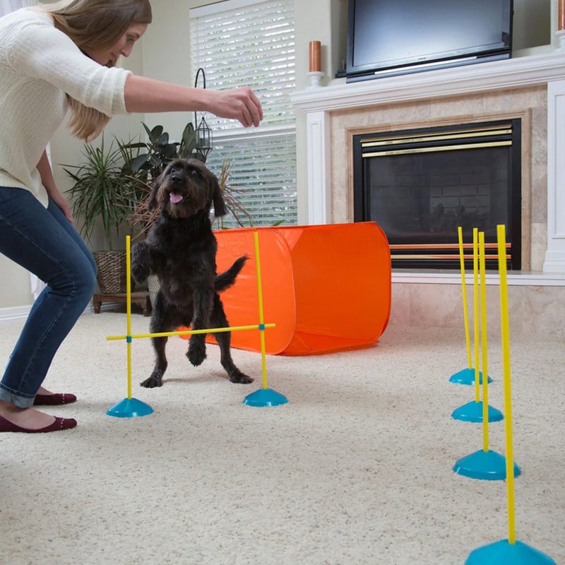 Outward Hound Zip & Zoom Indoor Agility Kit