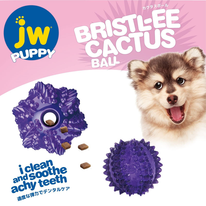 JW Pet Puppy Bristl-ee Cactus Ball Teething Toy