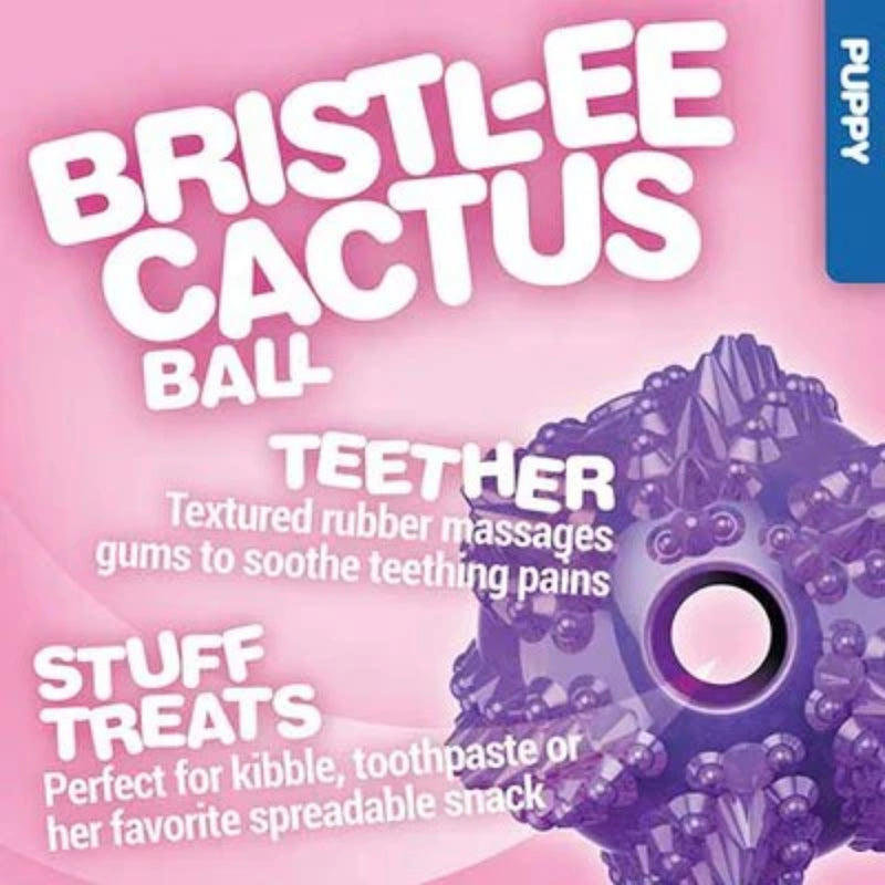 JW Pet Puppy Bristl-ee Cactus Ball Teething Toy