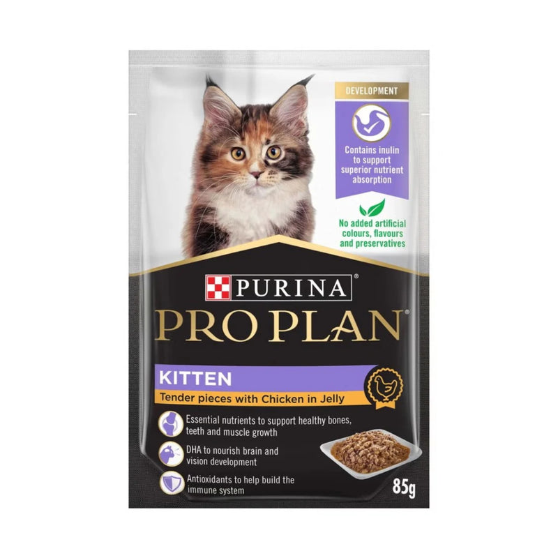 Purina Pro Plan Kitten Chicken in Jelly Wet Cat Food