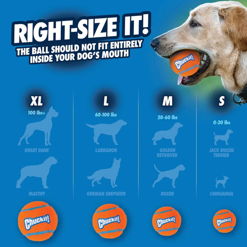 Chuckit! Ultra Squeaker Ball Fetch Dog Toy